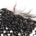 Virgin Hair 13X4 Water Wave Medium Brown Lace Frontal