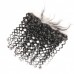 Virgin Hair 13X4 Water Wave Medium Brown Lace Frontal