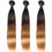 T1B/4/30 Ombre Virgin Straight Human Hair Bundles