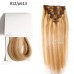  Uglam Color  Clip in Hair Extensions Straight Human Hair(120g,8pcs/set)