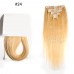  Uglam Color  Clip in Hair Extensions Straight Human Hair(120g,8pcs/set)