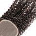 Virgin Human Hair 4x4 5x5 6x6 7x7 Transparent Lace Closure Kinky Curly 