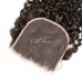 Virgin Human Hair 5x5 HD Lace Closure Kinky Curly