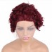 Uglam #99J/P4/27 Color T Part Lace Front Wigs Pixie Cut Curly Hair
