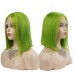 Uglam Color 13X4 Lace Closure Bob Wig Straight