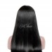 Virgin Human Hair 13X4 Transparent Lace Front Straight Wig 180% Density