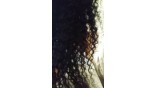 Uglam Transparent Full Lace Wigs Deep Wave