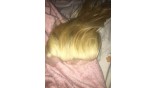 Uglam 13x4 Transparent Lace Frontal Closure Blonde #613 Color Straight