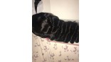 Uglam Clearence 360 Lace Front Loose Wave Wig 250% Density