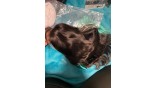 Uglam 13X4 HD Lace Front Body Wave Wig 200% Density