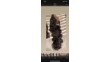 Virgin Human Hair 13x4 13x6 Transparent Lace Front Body Wave Wig 200% Density