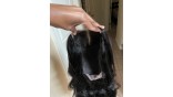 Uglam HD Lace Closure Wig Body Wave