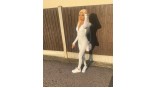 Uglam 13x6 Swiss Lace Frontal 613 Blonde Straight