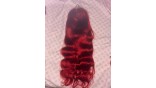 Uglam Reddish Transparent 13x4  Lace Frontal Wig Body Wave 