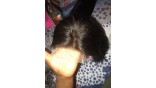 Virgin 13x4 Lace Frontal Human Hair Wigs 2PCS