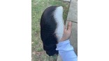 Uglam 13X4  Lace Front Body Wave Wig 180% Density